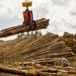 Pleasant River Lumber logs