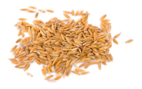 ACRE rice hulls modern mill